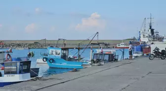 Zonguldak Balıkçıları Umutla Bekliyor: Hamsi Sezonu Ekim ve Kasım'da Gelecek
