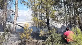 Muğla'da Trafoda Başlayan Yangın Kontrol Altına Alındı