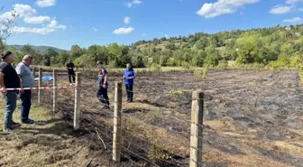 Bartın'da Anız Yangınına Müdahale Ederken Kalp Krizi Geçiren Çiftçi Hayatını Kaybetti