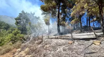 Adana'nın Feke İlçesinde Orman Yangını