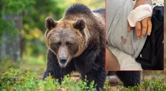 Ayı saldırısında parmağını kaybetti! Dehşet anlarını bu sözlerle anlattı