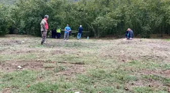 Karasu'da Traktör Devrildi: 88 Yaşındaki Adam Hayatını Kaybetti