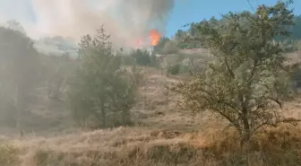 Karabük'te Ovacık'ta Yangın: Ormana Sıçradı