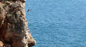 Antalya'da Sıcak Hava ve Tehlikeli Falez Atlayışları