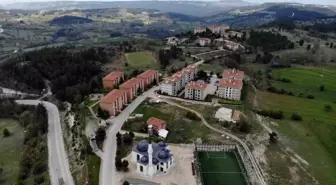 Bursa'da Yavru Ayılar Paniğe Neden Oldu