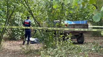Fındık Tarlasında Traktörden Düşen Yaşlı Adam Hayatını Kaybetti