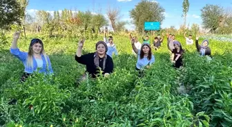 Afyonkarahisar'da Yerli Permakültür Projesi ile İlk Hasat Yapıldı