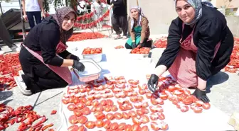 Hatay'da Afetzede Kadınlar Domates Kuru İle Ekonomiye Katkı Sağlıyor