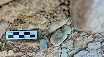Batı Anadolu'da 4 bin 500 yıllık idoller bulundu