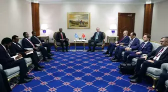 Cumhurbaşkanı Erdoğan, Somali Cumhurbaşkanı Şeyh Mahmud ile görüştü