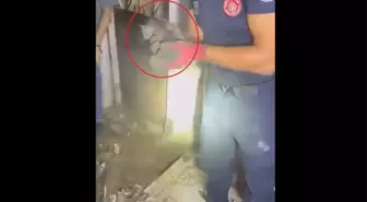 Bursa'da İtfaiye, Yavru Kediyi Su Borusundan Kurtardı