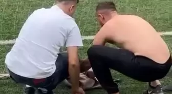 Bursa'da Halı Saha Kalesine Takılan Kedi Kurtarıldı