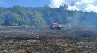 Kırklareli'nde Çıkan Örtü Yangını Kontrol Altına Alındı