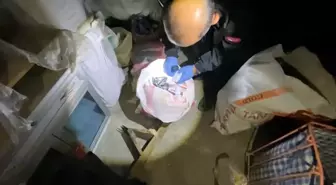 Samsun'da 15 Bin Uyuşturucu Hap Ele Geçirildi