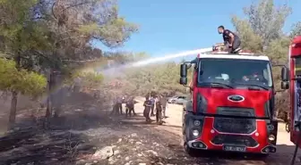 Şanlıurfa'da Orman Yangını Kontrol Altına Alındı