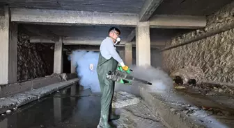 Sığırlarda Üç Gün Hastalığı Salgını Artıyor