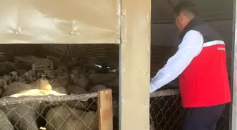 Tekirdağ İl Müdürü Aksoy, Kapaklı'da Tarımsal Üretim Faaliyetlerini İnceledi