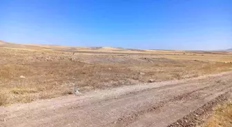 Ankara'da Bacanak Cinayeti ve İntihar