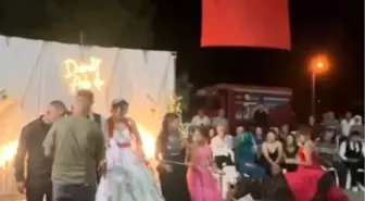 Düğünde Sıra Dışı Hediye: Damat Buzağı Sahibi Oldu