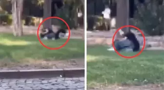 Gencecik kızlar saç başa kavga etti, çevredekiler film izler gibi seyretti