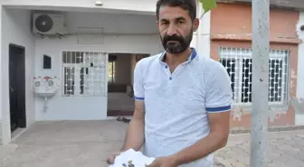 Cebrail Özkurt: 'Yorgun mermilerden korkuyoruz, havaya silah sıkmak masum bir eğlence değil'