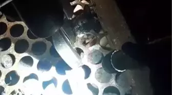 Kozlu'da Mazgala Sıkışan Yavru Kedi Kurtarıldı