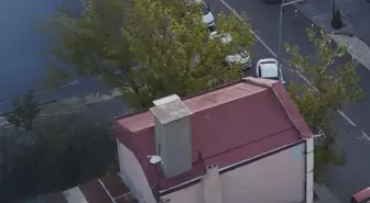Kars'ta İşletmeci Meyve Ağaçlarını Koruyarak Kafe Açtı
