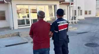 Aydın'da Düzensiz Göçmen Operasyonu: 9 Yakalandı