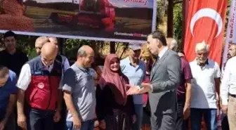 Tunceli'de Çiftçilere Kırmızı Mercimek Tohumu Dağıtıldı