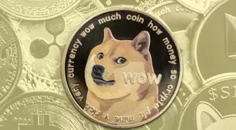 Elon Musk bağlantılı şirket DOGE biriktirmeyi sürdürüyor