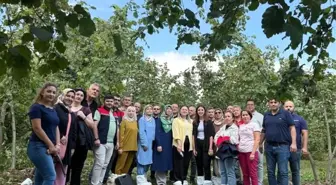Düzce'de Fındık Yetiştiriciliği İçin Eğitim Programı