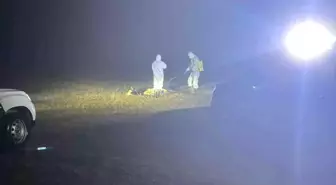 Gümüşhane'de Şap Hastalığı Şüphesi Üzerine Hayvan Hareketleri Durduruldu