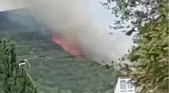 Kocaeli'de Orman Yangını: Ekipler Mücadele Ediyor