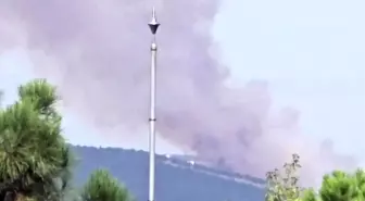 Kocaeli'nin İzmit ilçesinde orman yangını