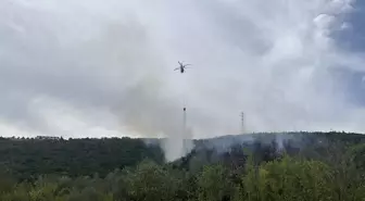 Kocaeli'de Orman Yangını Kontrol Altına Alındı