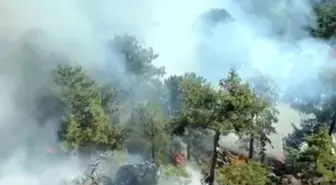Muğla'da Orman Yangınına Havadan Müdahale Devam Ediyor