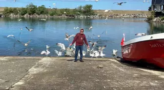 Balık Ustası Hızır Abay ile Martılar Arasındaki Özel Bağ