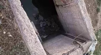 Muş'ta Su Kuyusuna Düşen 2 Yaşındaki Çocuk Kurtarıldı