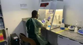 Nijerya'da Lassa Ateşi Nedeniyle Ölümler Artıyor