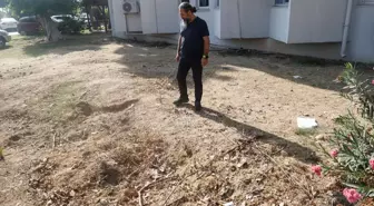 Tam 14 metre uzunluğunda! 4 yıl boyunca toprak altında kaldı, şimdi yeniden çıkarılacak