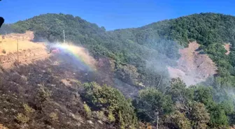 Tunceli'de Kırsal Alanda Yangın Çıktı, Müdahale Sürüyor