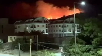 Alanya'da Orman Yangını: Ekipler Mücadele Ediyor