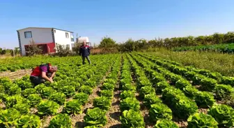 Beyşehir'de Meyve ve Sebze Bahçeleri Sıkı Takipte