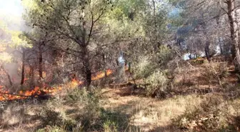 Çanakkale'de Orman Yangını Kontrol Altına Alındı