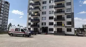 Diyarbakır'da Apartman İçi Çöp Tartışması Kavga ile Sonuçlandı