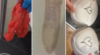 Kız yurduna tadilat için gelen işçilerin yaptıkları mide bulandırdı: Sütyenlerin içine...