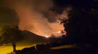 Muğla'da Sazlık Yangını Kontrol Altına Alındı