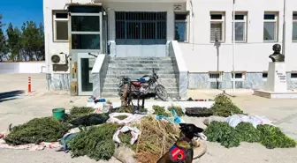 Şanlıurfa'da Jandarmadan Uyuşturucu ve Silah Operasyonu