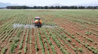Elita Gıda Sürdürülebilir Tarımda Başarı Sağladı