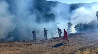 Tunceli'de Kırsal Alan Yangını Kontrol Altına Alındı